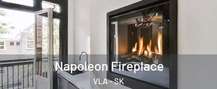  Napoleon Fireplace VLA - SK