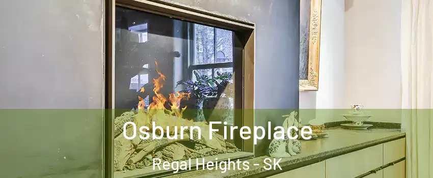 Osburn Fireplace Regal Heights - SK