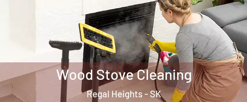  Wood Stove Cleaning Regal Heights - SK